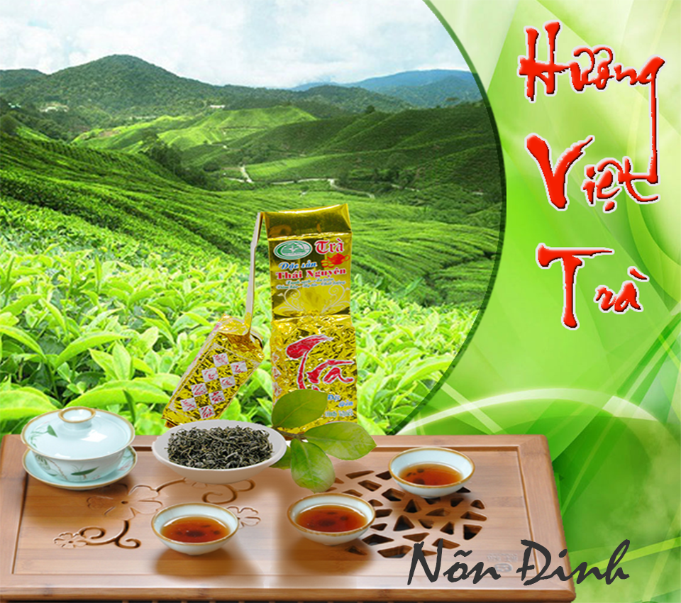 Hương Việt Trà Tân Cương Nõn Đinh rem-vai-06
